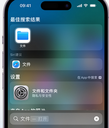 三角镇apple维修中心分享iPhone文件应用中存储和找到下载文件 