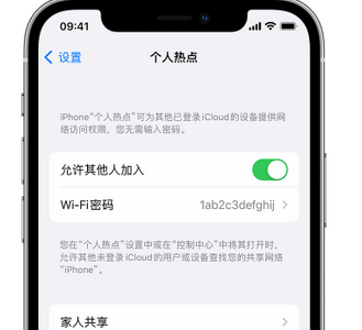 三角镇apple服务站点分享iPhone上个人热点丢失了怎么办 