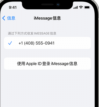 三角镇apple维修iPhone上无法正常发送iMessage信息 