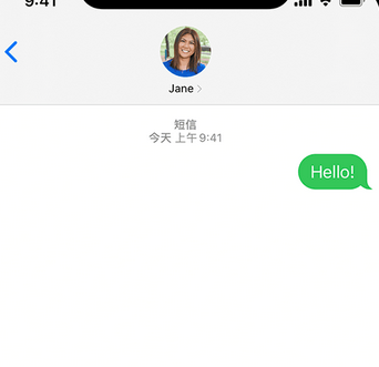 三角镇apple维修iPhone上无法正常发送iMessage信息