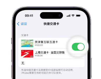 三角镇apple维修点分享iPhone上更换Apple Pay快捷交通卡手绘卡面 