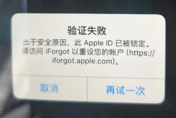 三角镇iPhone维修分享iPhone上正常登录或使用AppleID怎么办 