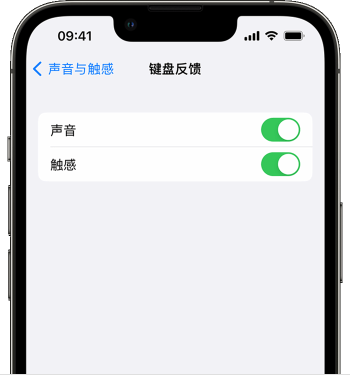 三角镇苹果14维修店分享如何在 iPhone 14 机型中使用触感键盘 