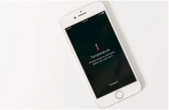 三角镇苹果手机维修分享iPhone 手机发热如何快速降温 