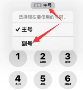 三角镇苹果14维修店分享iPhone 14 Pro Max使用副卡打电话的方法 