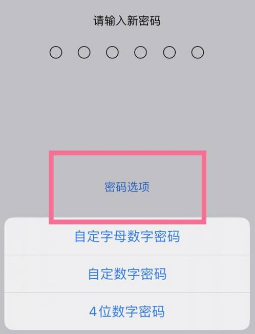 三角镇苹果14维修分享iPhone 14plus设置密码的方法 