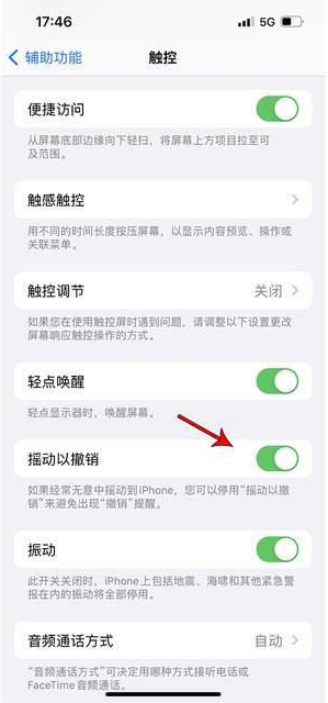 三角镇苹果手机维修分享iPhone手机如何设置摇一摇删除文字 